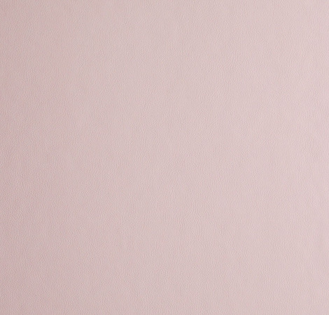 Blush - STANDARD