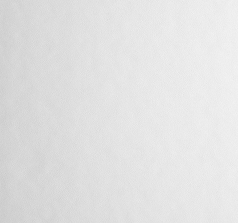 Polar - STANDARD