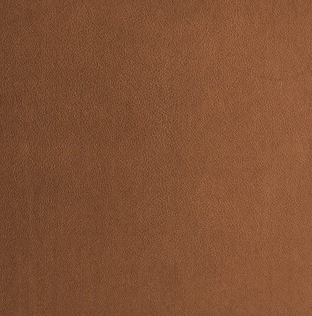 Saddle - Standard
